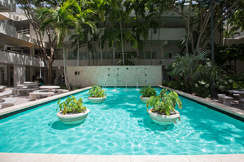 Fountain at the University of Miami Coral Gables campus